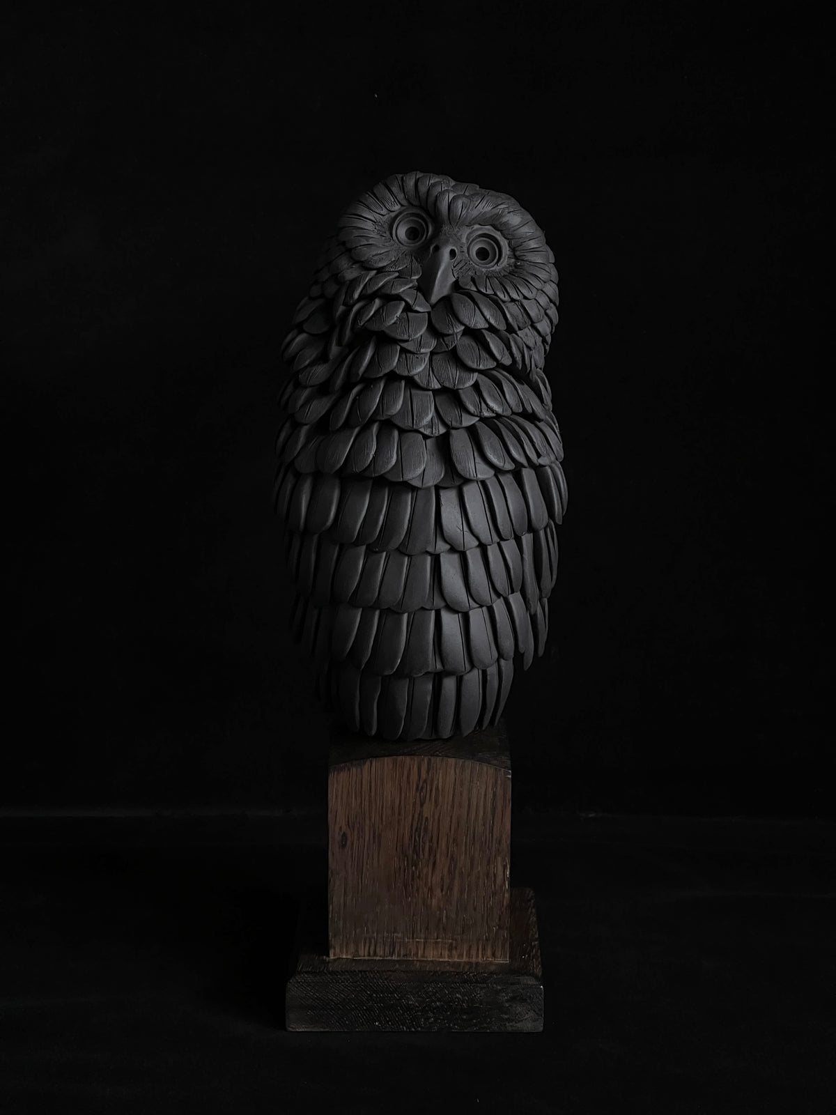 Nocturne XX by Tim Main, a black stoneware ruru (morepork) sculpture with its head tilted upwards, on an oak base.