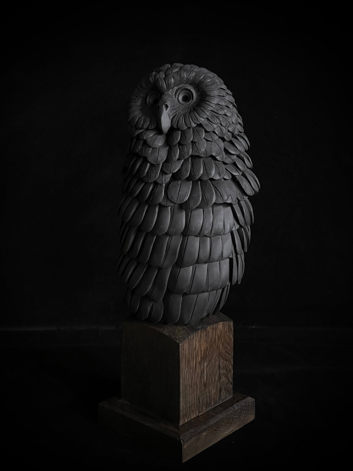 Nocturne XXI by Tim Main, a black stoneware ruru (morepork) sculpture on an oak base, with its head turned to one side.