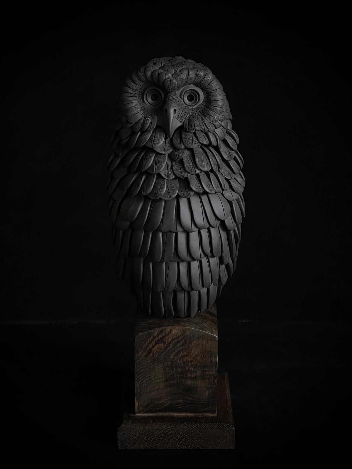 Nocturne XXII by Tim Main, a black stoneware ruru (morepork) sculpture on an oak base, viewed from the front.