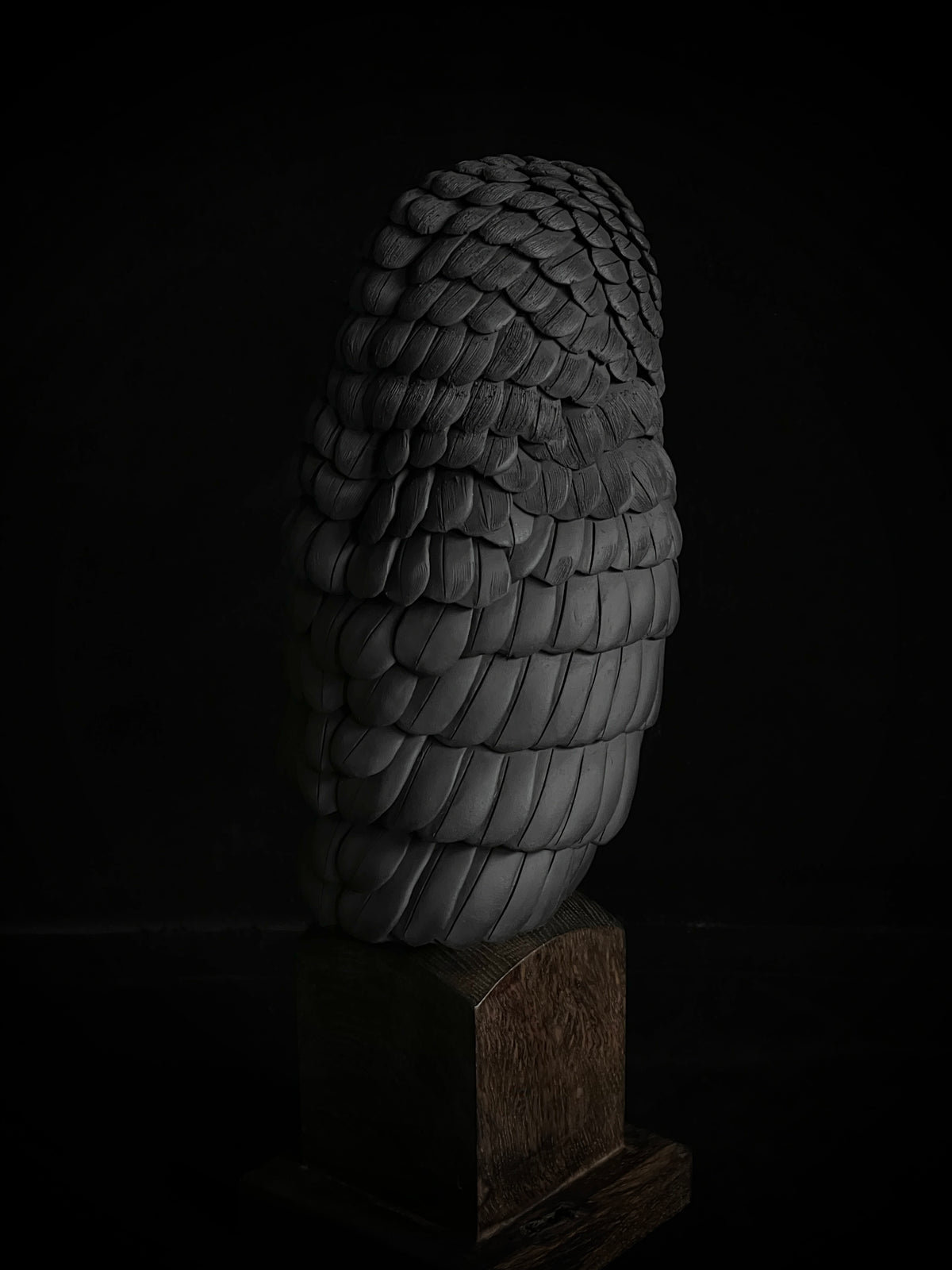 Nocturne XXII