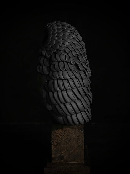 Nocturne XXII